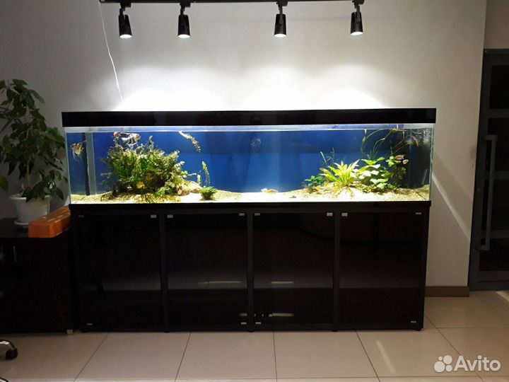 Аквариум на заказ