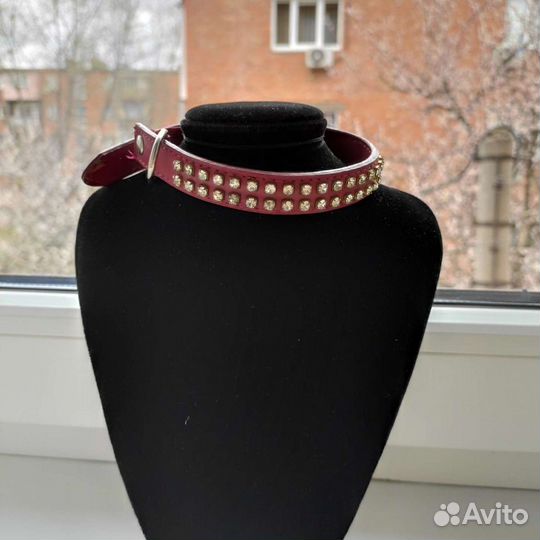 Ошейник для собак