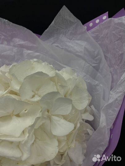 Букет белой гортензии