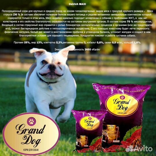 Сухой корм для собак 