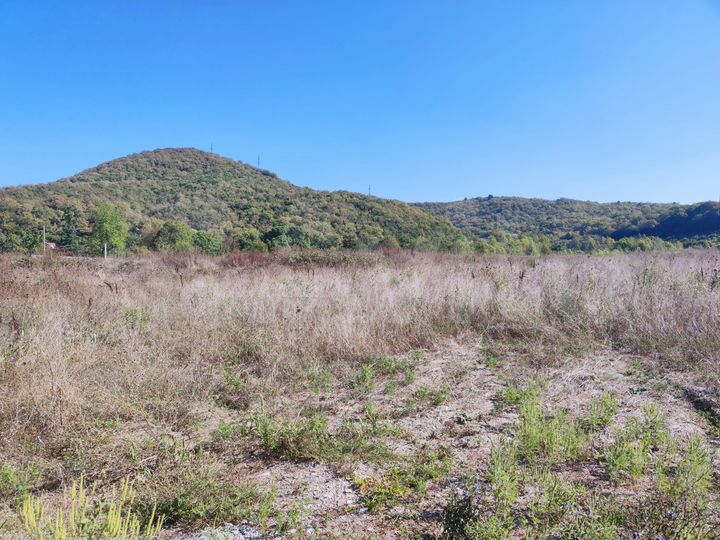 Участок 16 сот. (ИЖС)