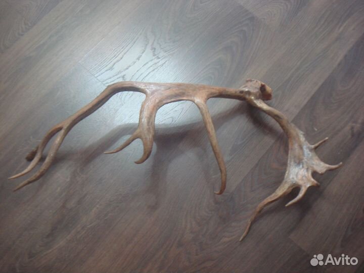 Сувенир из кости