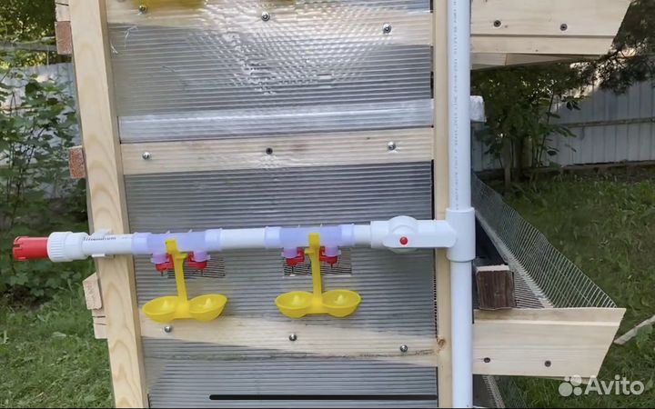 Клетки для перепелов