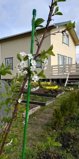 Дом 112 м² на участке 6 сот.