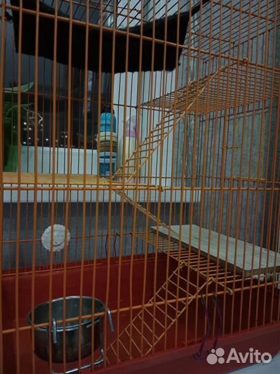 Клетка для грызунов большая