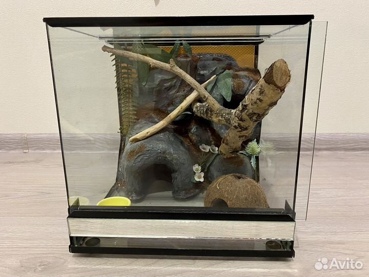 Террариум Regalis-terra 30x30х30 с оформлением