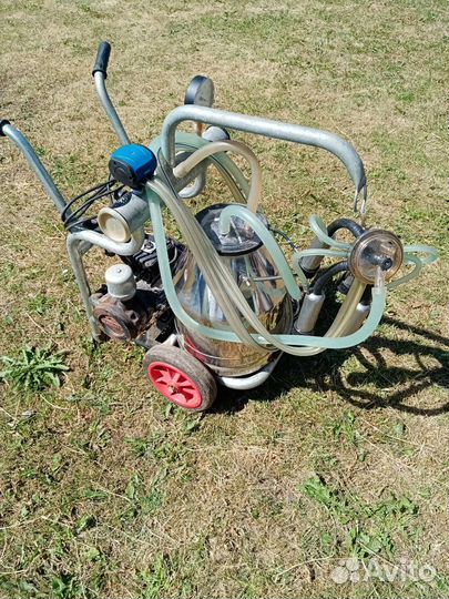 Доильный аппарат для коров