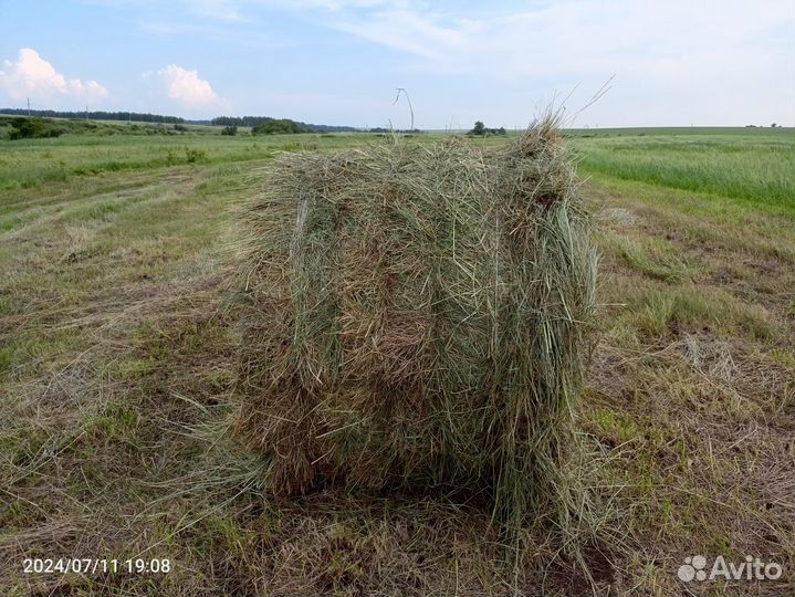 Сено в рулонах