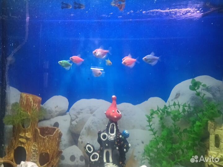 Аквариум с тумбой 100 литров