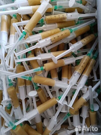 Трутневое молочко