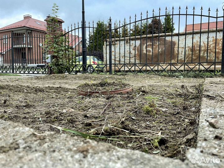 Рулонный газон под ключ