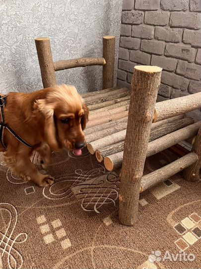 Реквизит для фотосессии новорожденных