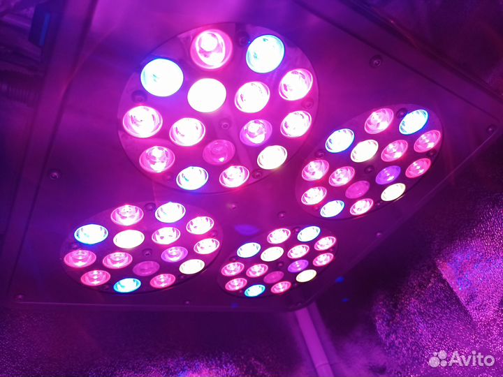 LED панель Apollo-4 140W