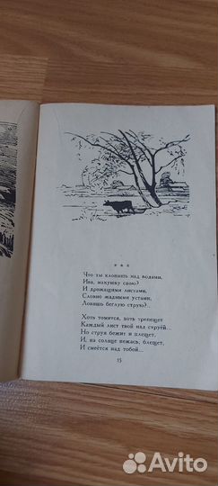 Книжка Листья