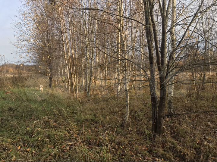 Участок 32,64 га (СНТ, ДНП)