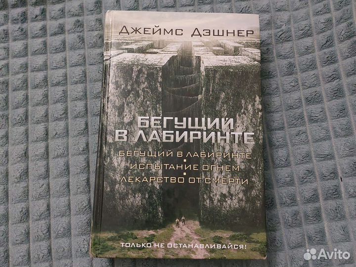 Книга Бегущий в лабиринте