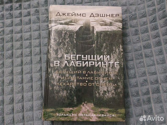 Книга Бегущий в лабиринте