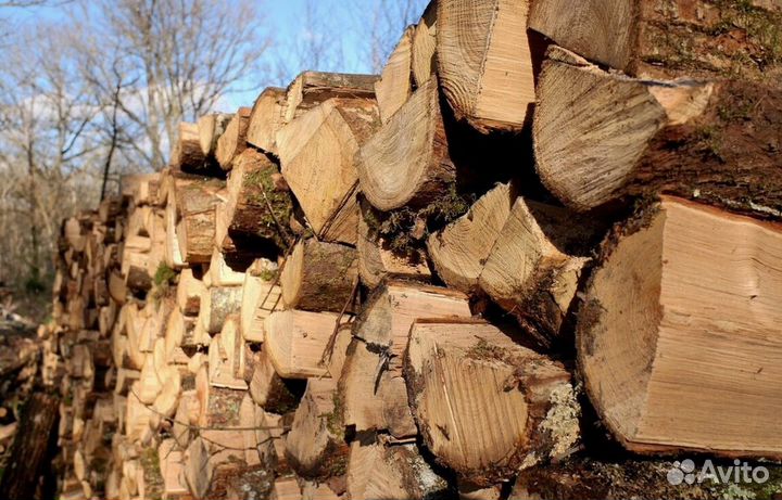 Дрова 30 см