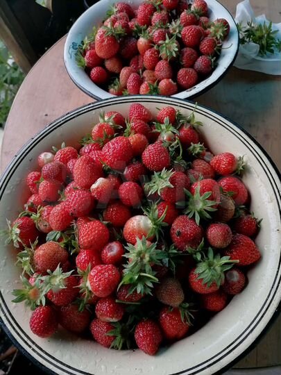 Дача 50 м² на участке 6 сот.