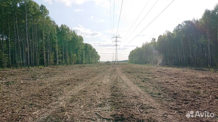 Расчистка под ключ мульчером лесной фрезой