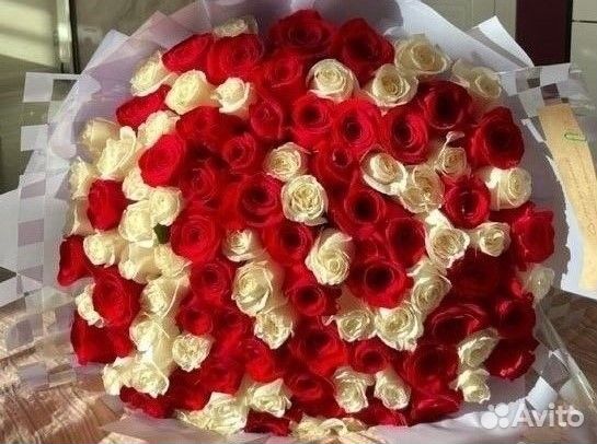 101 Роза Цветы Пионы