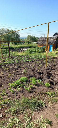 Дом 40 м² на участке 7 сот.