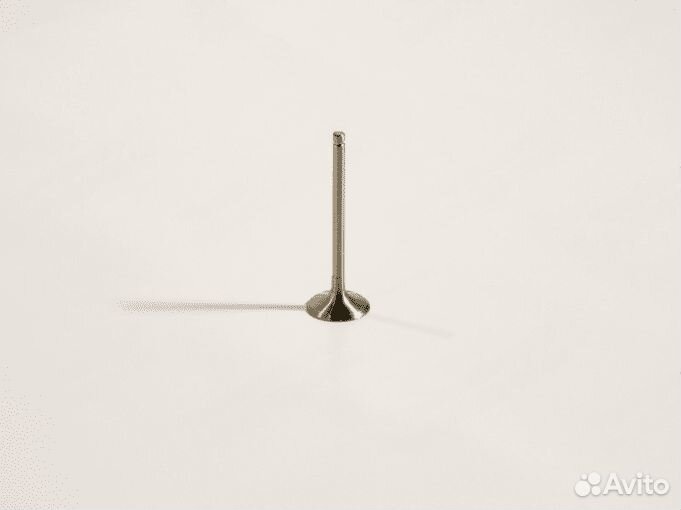 Клапан впускной 498 Lion (01/04/04)