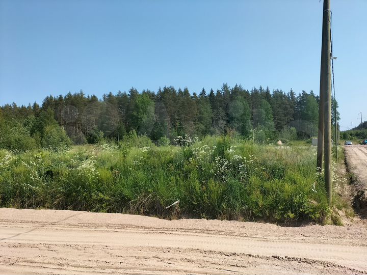 Участок 10 сот. (СНТ, ДНП)