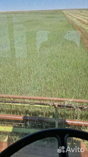 Продам сено в рулонах