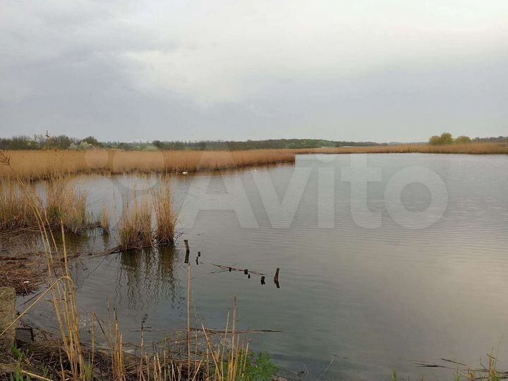 Дом 39 м² на участке 40 сот.