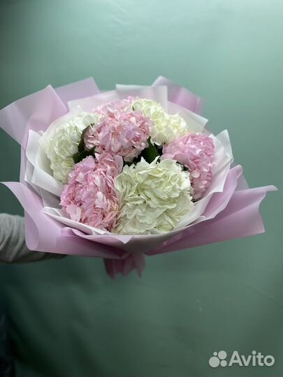 Гортензия цветы с доставкой