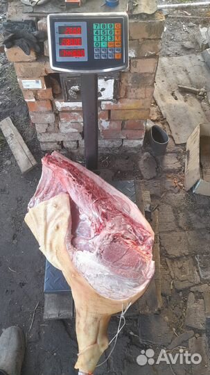 Свинина домашняя