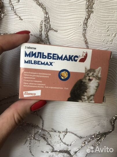 Корм для котят