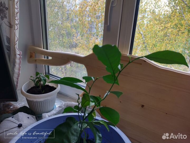 Доски разделочные)