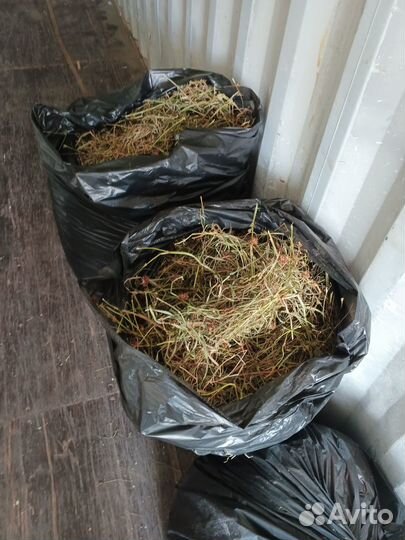 Корма для с/х животных и птиц