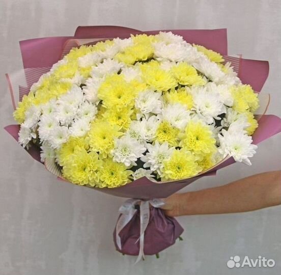 Цветы Хризантемы букет