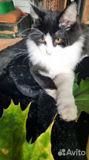 Мальчик очень ласковый