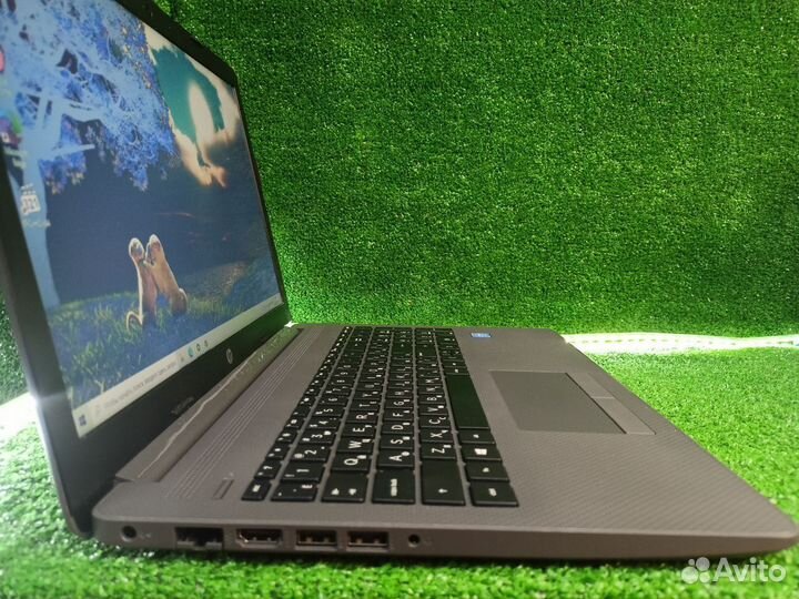 Новый ноутбук HP для учебы шустрый