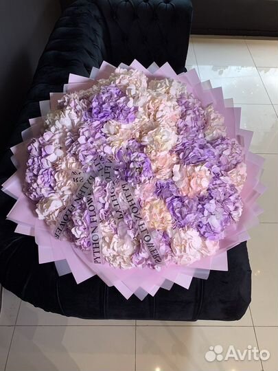 Гортензия лиловая и розовая