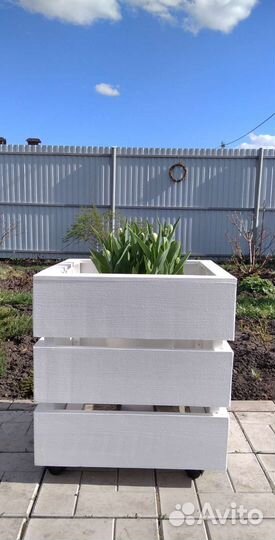 Кашпо для растений