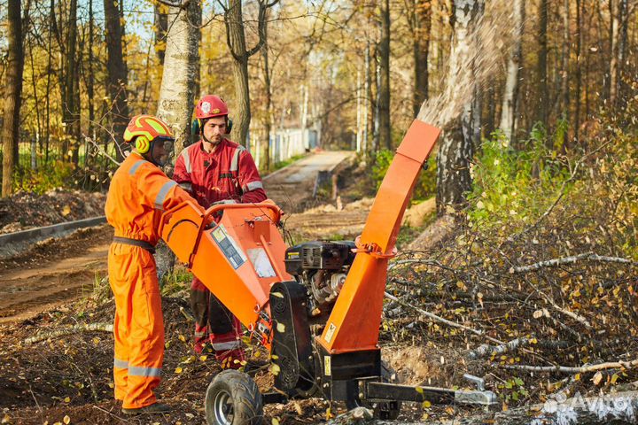 Спил деревьев