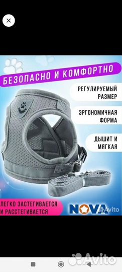 Шлейка для маленьких собак, кошек