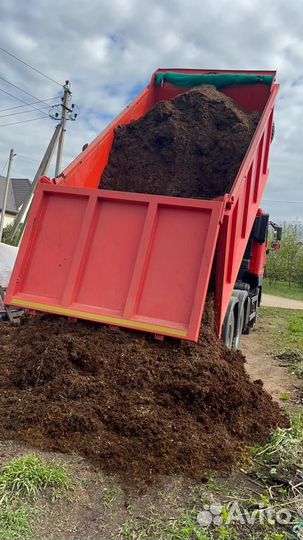 Конский перегной