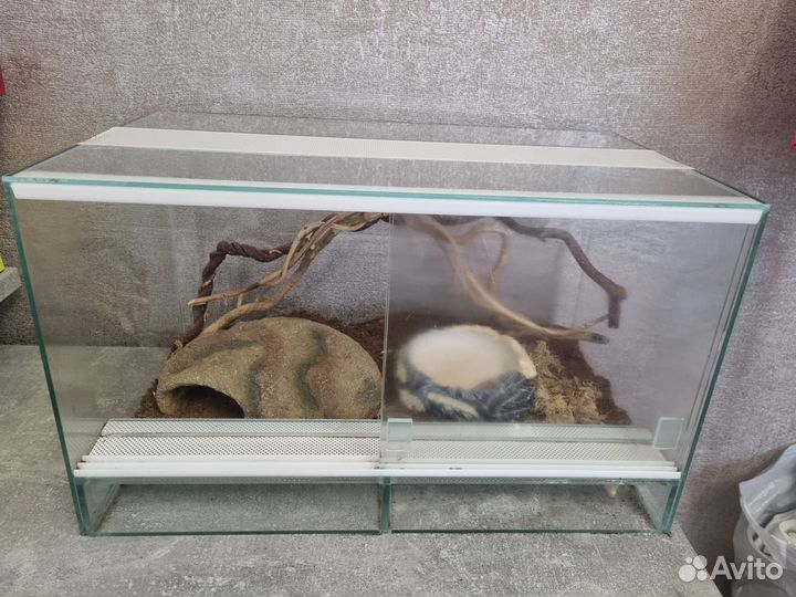 Террариум для змеи
