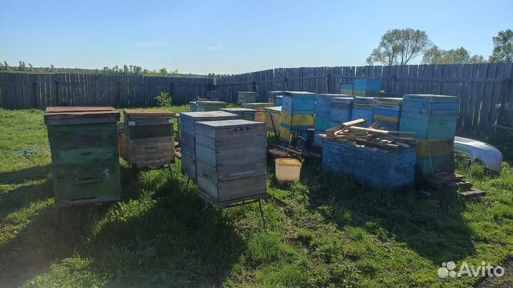 Улей для пчел бу