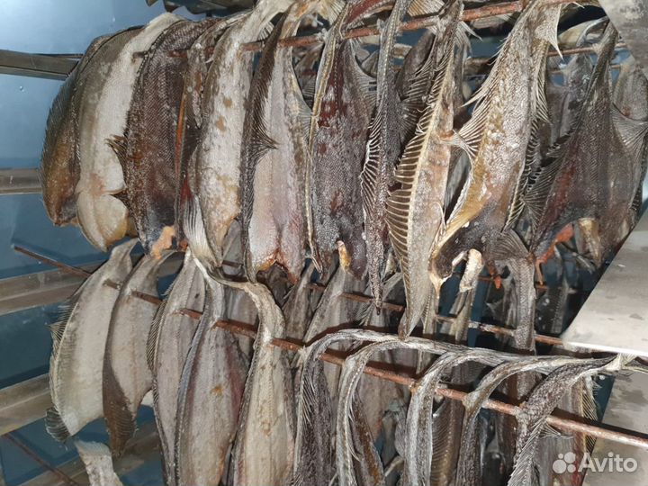 Ерш вяленный