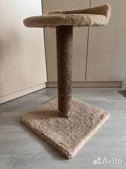 Когтеточка для кошек