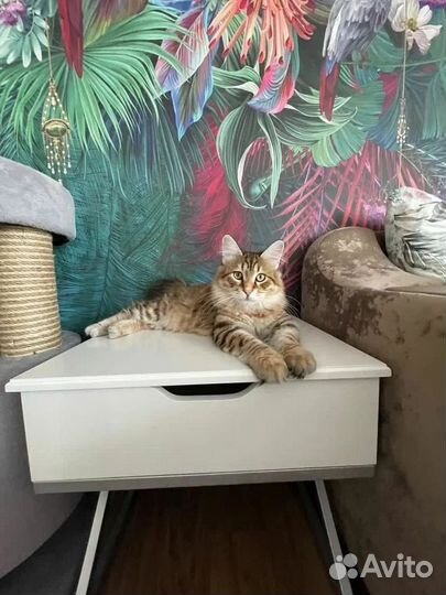 Тумба дизайнерская в современном стиле