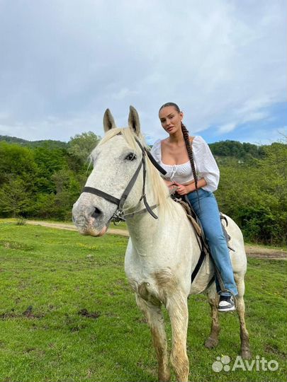 Конные прогулки