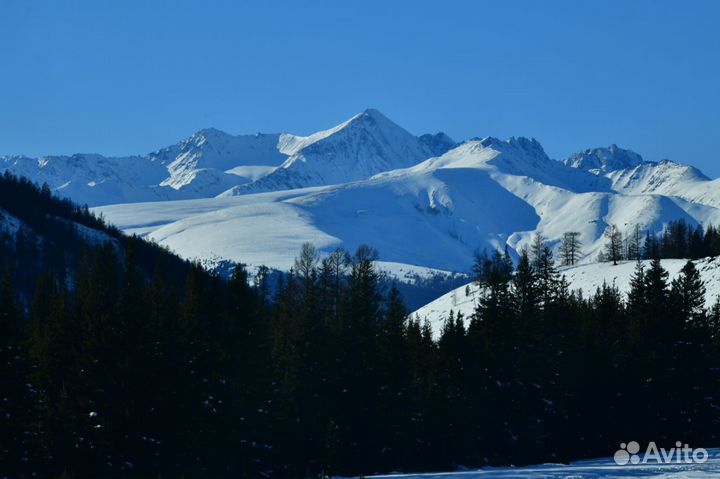 Услуга: Аренда джипа с водителем